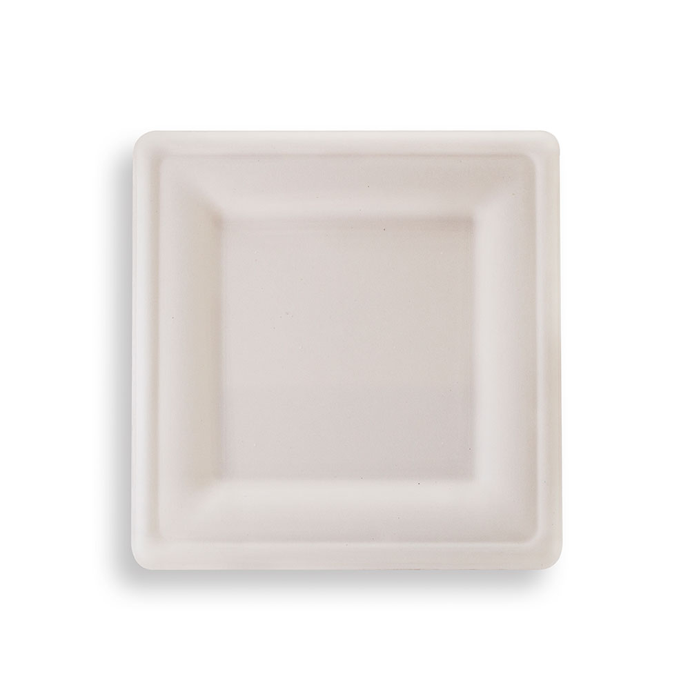 SOPO-1628.jpg SOPO-1628.jpg